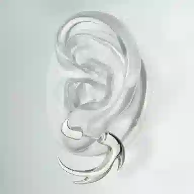 KOOGIS S925 Silver Earrings