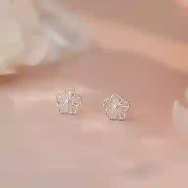 KOOGIS 999