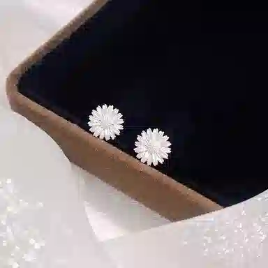 KOOGIS 999