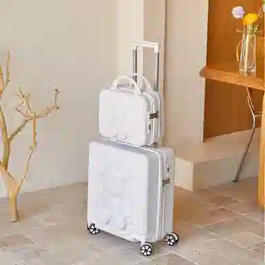 Dwiray 360 milooky ABS+PC 18