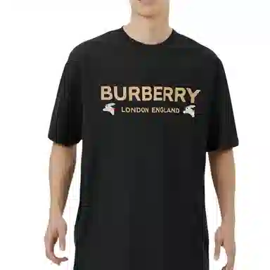 Burberry logoT