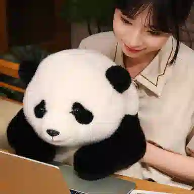 25cm35cm50cm70cm30cm90cm