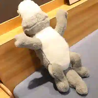 100cm120cm150cm170cm200cm230cm300cm