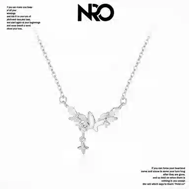 NRO ins s925