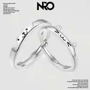 NRO S999 ins