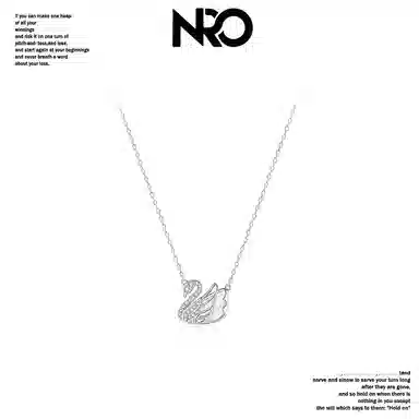 NRO s925 ins