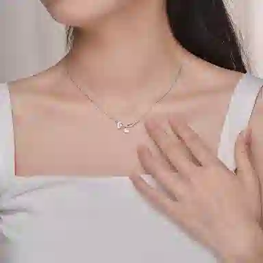 NRO S999