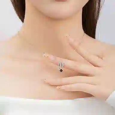 NRO ins S925