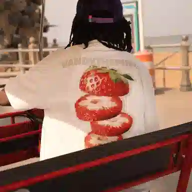 Vandy The Pink Strawberry