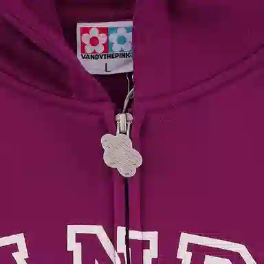 Vandy The Pink