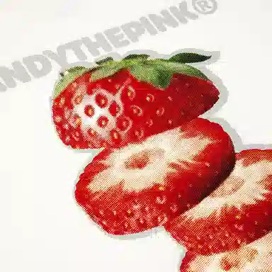 Vandy The Pink Strawberry