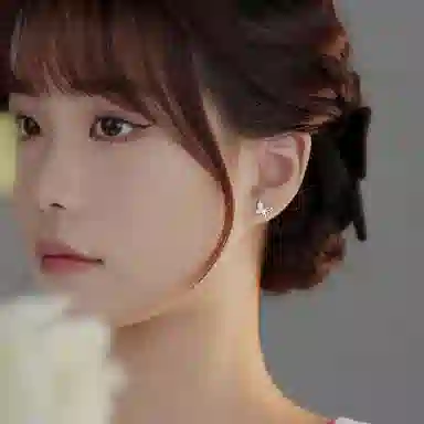 CMLZIUA Butterfly Earrings