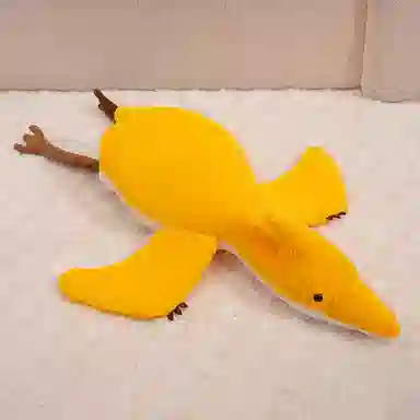 80cm100cm
