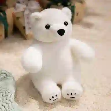 20cm