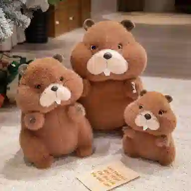 20cm30cm40cm