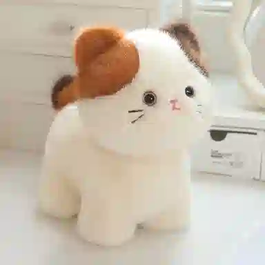 20cm30cm