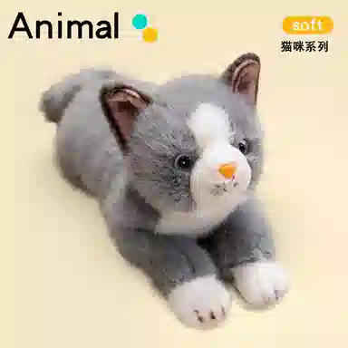 38cm