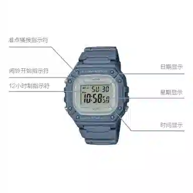 CASIO