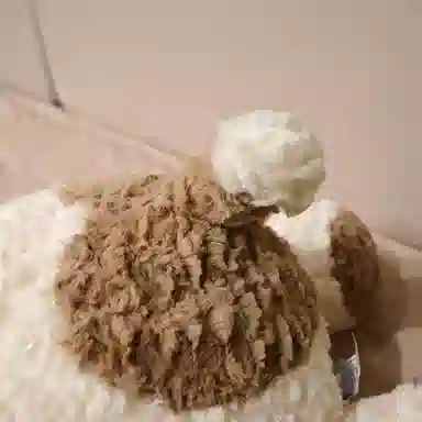 馨枕居 可爱超软斑点狗抱枕 玩偶 毛绒公仔