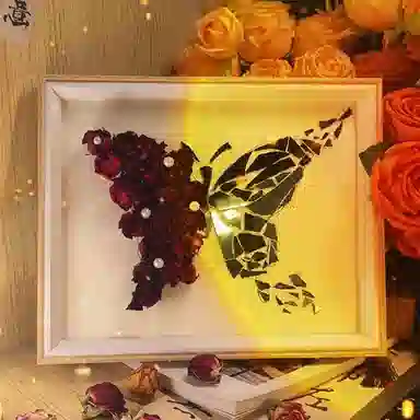 馨枕居 【破碎蝴蝶】镜子干花相框玫瑰永生花 其他手工制作