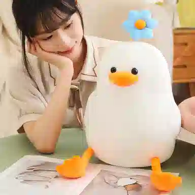 35cm55cm
