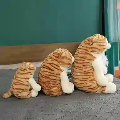 25cm45cm50cm