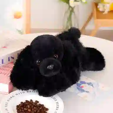 30cm