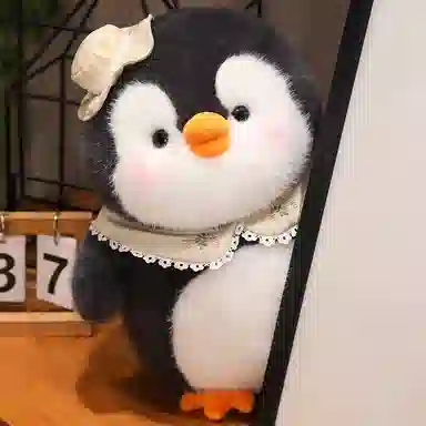 25cm40cm50cm