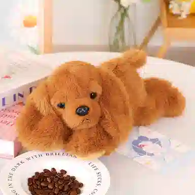 30cm