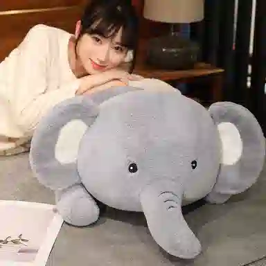 60cm80cm100cm120cm