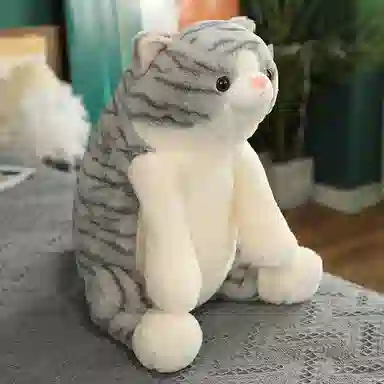 25cm45cm50cm