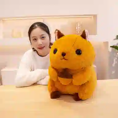 40cm48cm