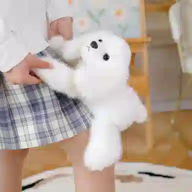 30cm
