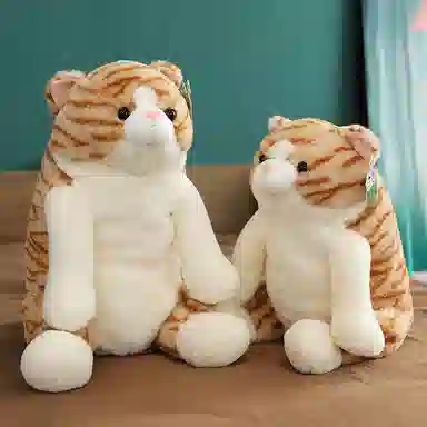 25cm45cm50cm