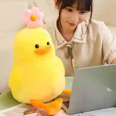 35cm55cm