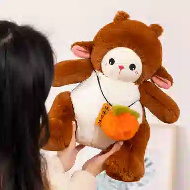 42cm60cm