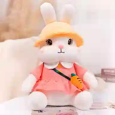 Q 22cm35cm45cm