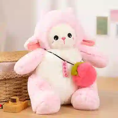 42cm60cm