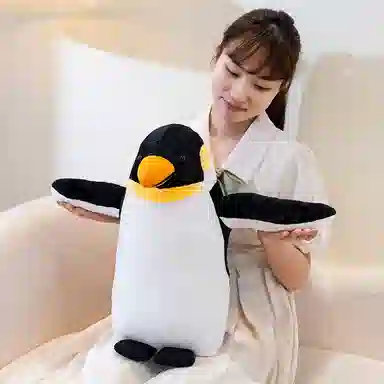 33cm42cm