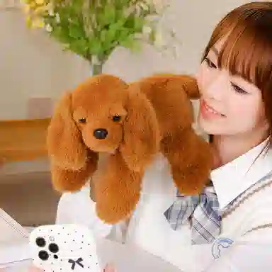 30cm