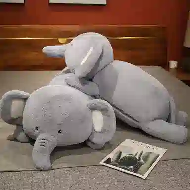 60cm80cm100cm120cm