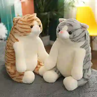 25cm45cm50cm