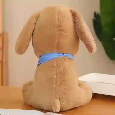 25cm40cm50cm