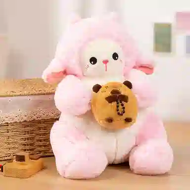 42cm60cm