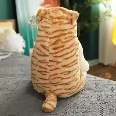 25cm45cm50cm
