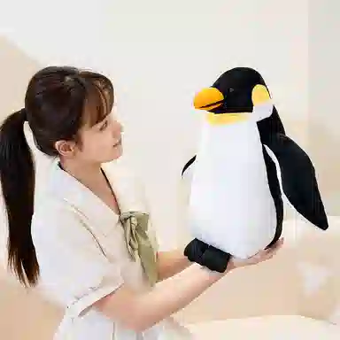 33cm42cm