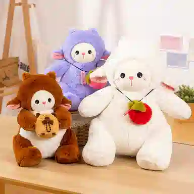 42cm60cm
