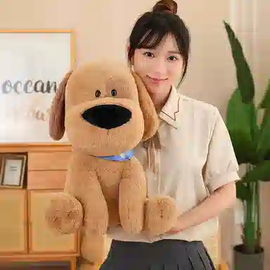 25cm40cm50cm
