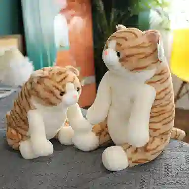 25cm45cm50cm