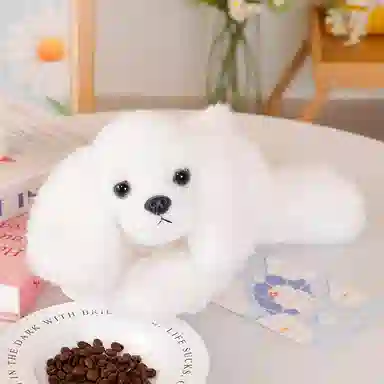 30cm